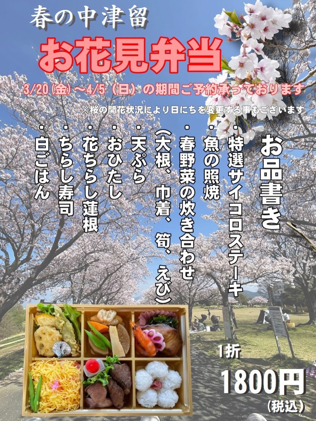 Instagramからのお知らせ